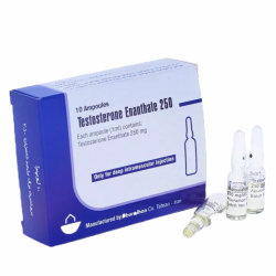 Testosterone Enanthate 250