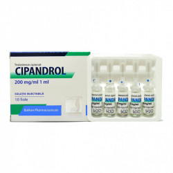 Cipandrol Amp