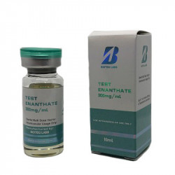 Test Enanthate 300