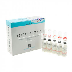 Testo-Prop-1