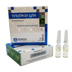 Testorox C250 Amp