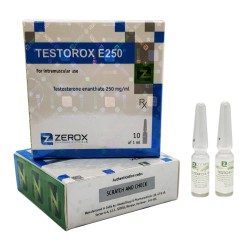 Testorox E250 Amp